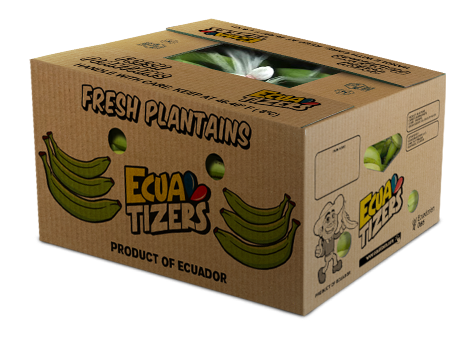 Ecuatizers shipping box filled with fresh plantains from Ecuador
